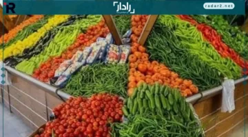 أسعار الخضراوات والفاكهة في كفر الشيخ السبت 25 أكتوبر 2025